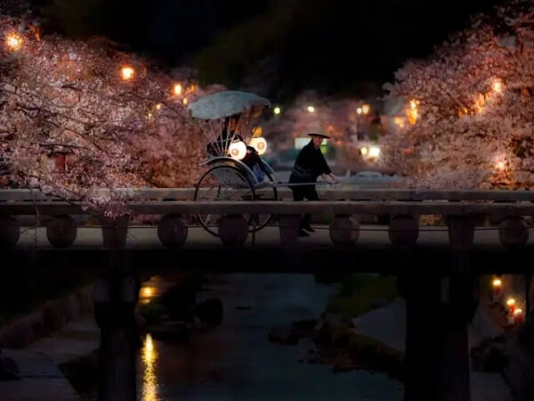 Nighttime Sakura Rickshaw Ride