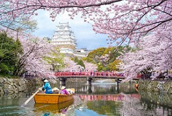 20 лучших мест в Японии для любования цветущей сакурой