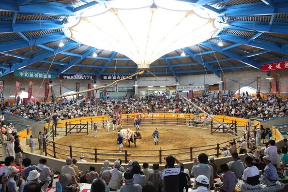 Муниципальная арена для боя быков Увадзимы