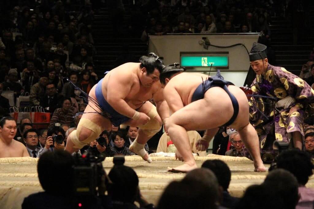 схватки профессиональных борцов сумо