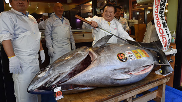 Самый дорогой тунец был продан на аукционе в Токио