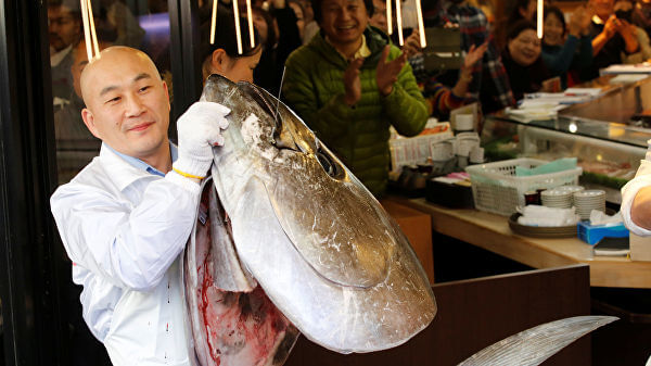 Самый дорогой тунец был продан на аукционе в Токио