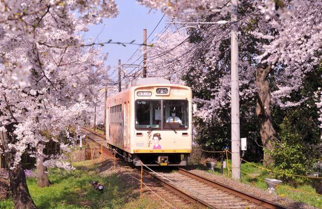 общественный транспорт в японии