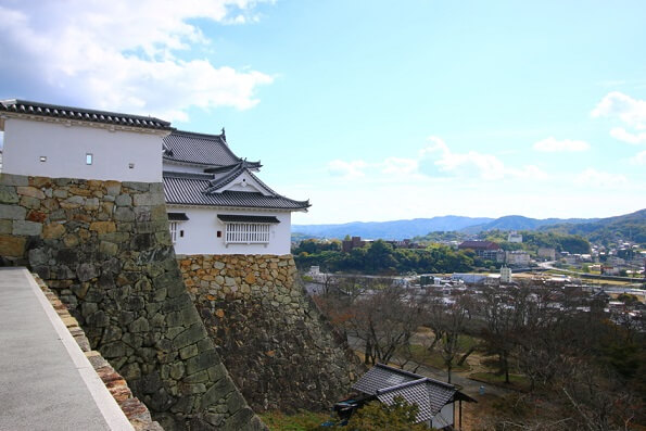 Замок Цуяма