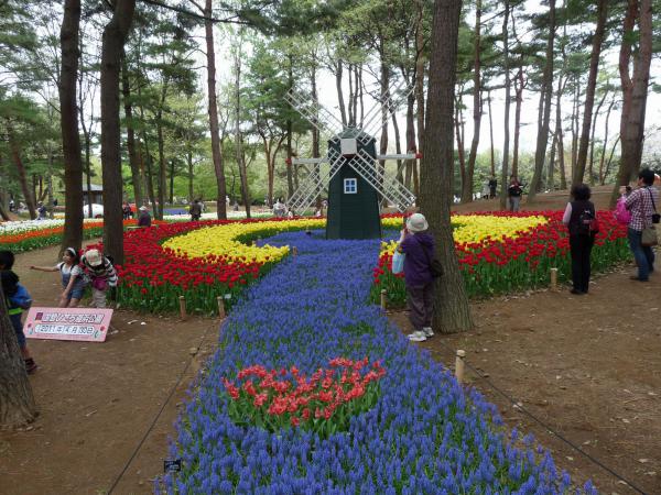 парк цветов в Хитачинаки