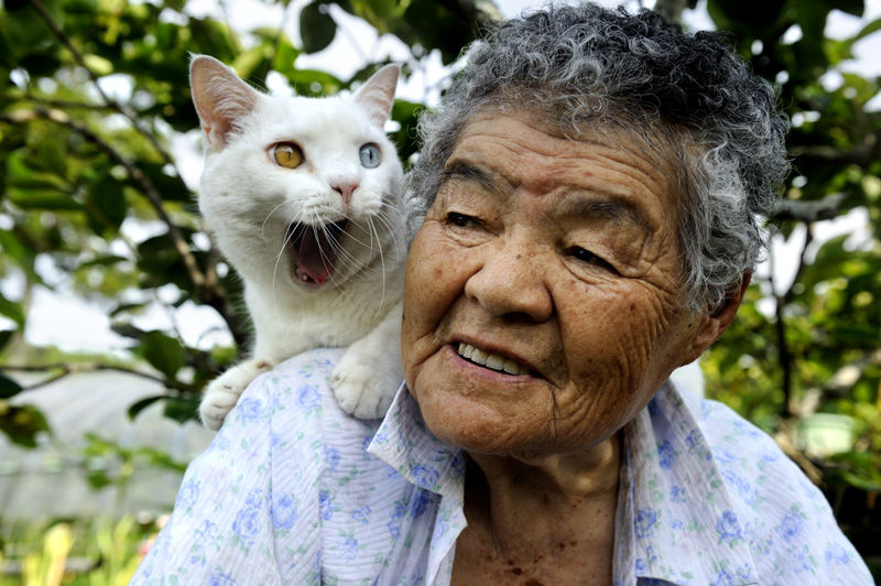 Мисао Ихара и её котом Фукумару.