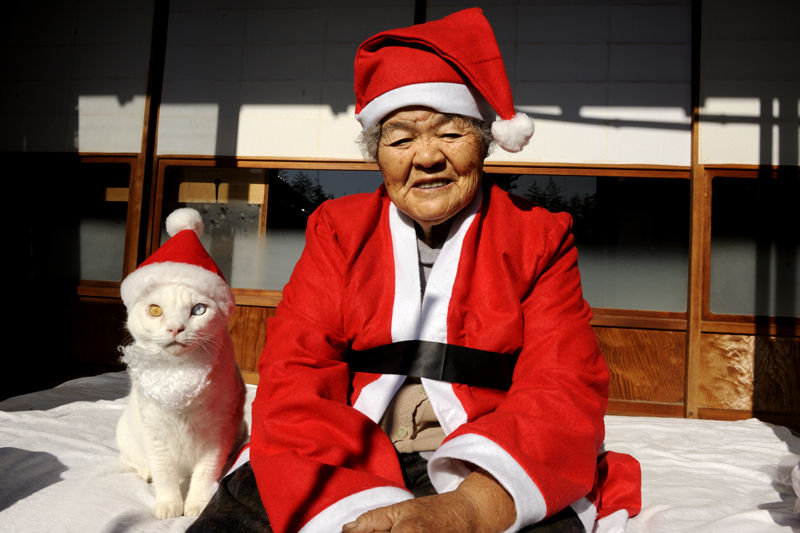 Мисао Ихара и её котом Фукумару.
