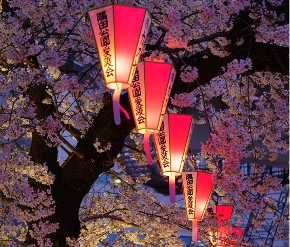 30 фотографий волшебной Японии
