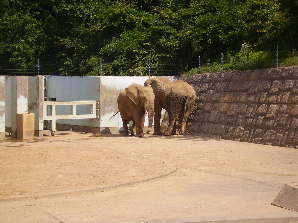 Зоопарк Милвэ Акита Оморияма