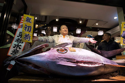 В Токио продали второго по стоимости тунца с начала XXI века