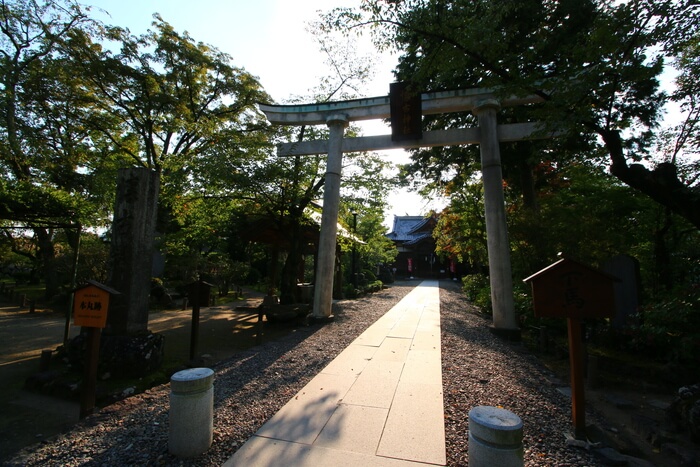 Руины замка Коморо и сад Кайко-эн