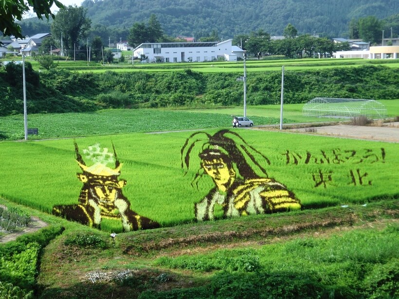 картины на рисовых полях