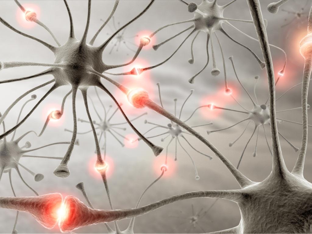 Японские ученые выявили связь между морганием и работой мозга