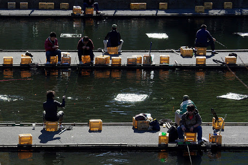 Особенности рыбалки в Токио