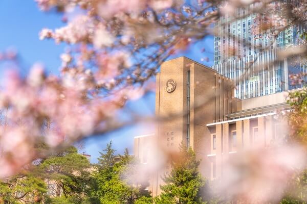 10 лучших университетов Японии по версии World University Rankings 2021 г.