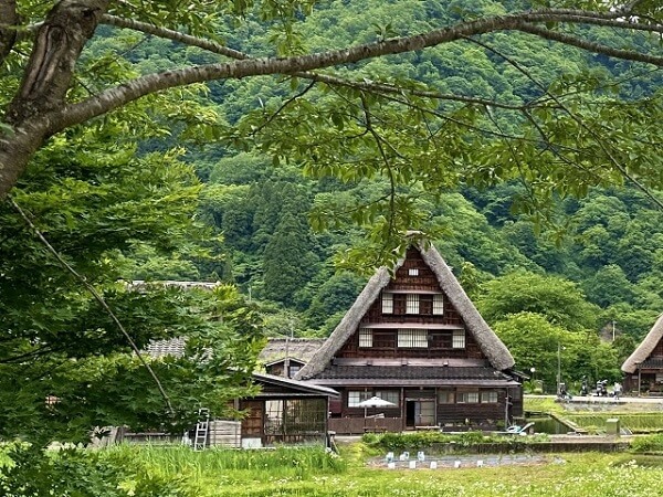 Airbnb предлагают бесплатное проживание в традиционном японском доме гассё