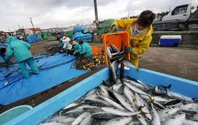 рыболовный промысел в Японии