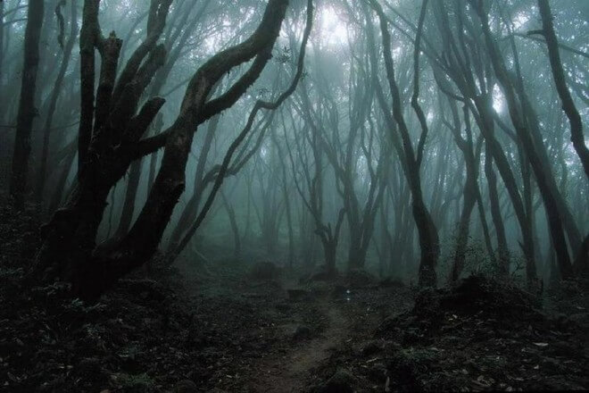 призрак лес
