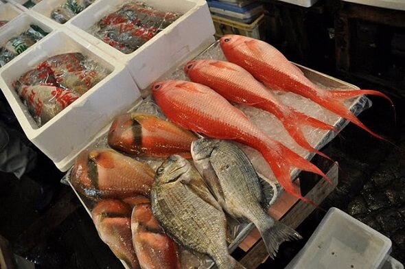 Особенности рыбной ловли в Японии