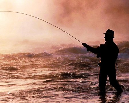 Рыболовство и закон