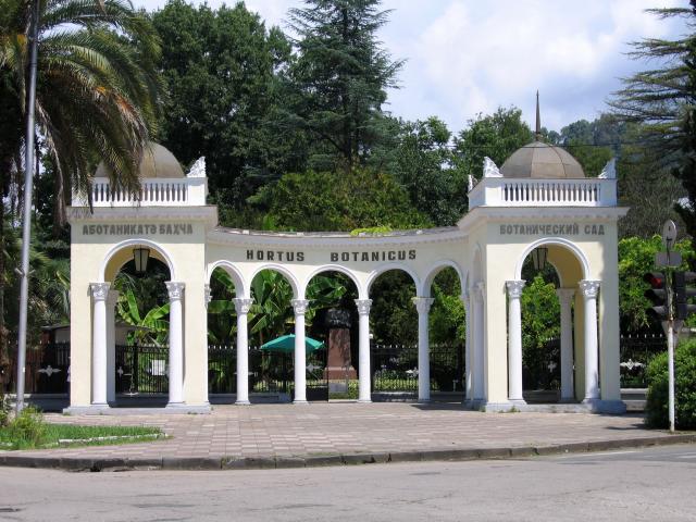 Сухумский ботанический сад.