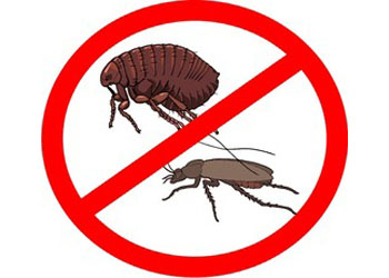 Уничтожение насекомых-вредителей