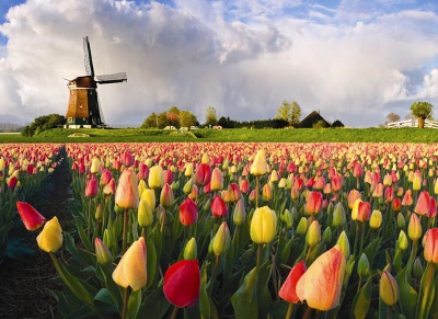 Особенности туризма в Роттердаме весной