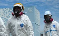 Мутированные организмы на Фукусиме
