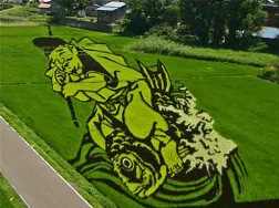 япония рисунки на рисовых полях