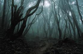 Страшный лес Аокигахара