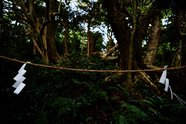 Запретный священный лес Идзуру-но Мори