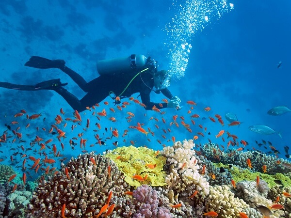 Подводное плавание на Симиланских островах