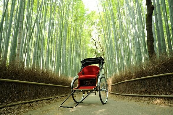 Ebisuya Arashiyama rickshaw tour